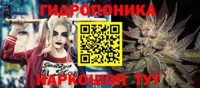 ГАЛЛЮЦИНОГЕННЫЕ ГРИБЫ Дубна