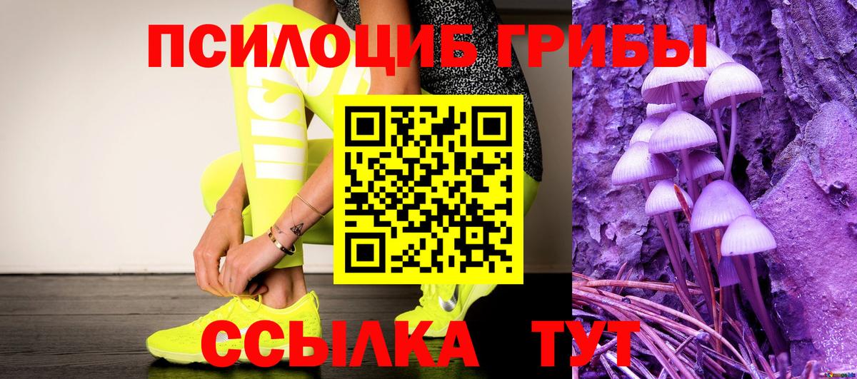 Псилоцибиновые грибы Cubensis  Вход с VPN  Боровичи 