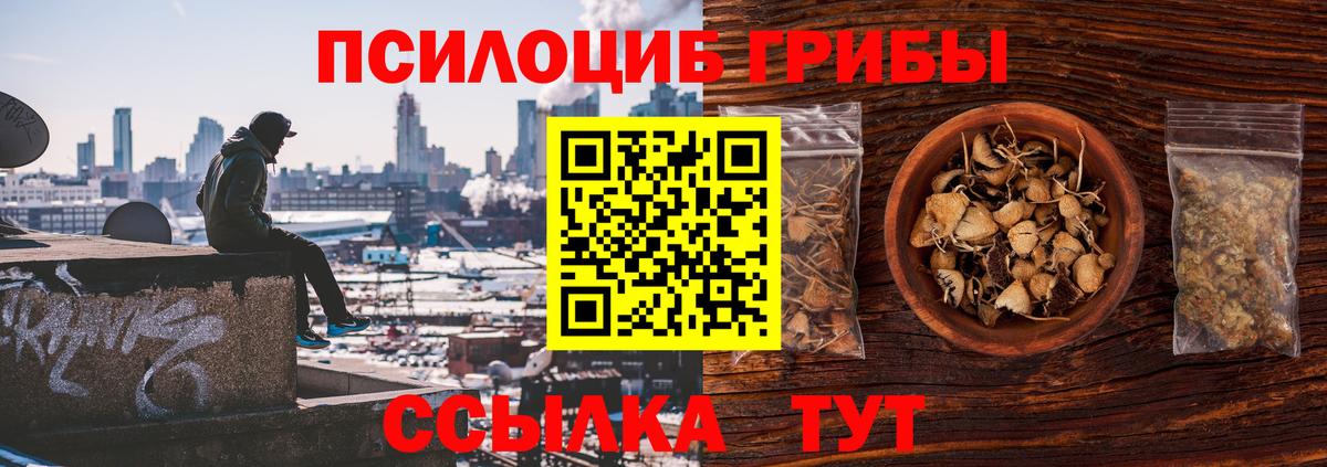 Галлюциногенные грибы MAGIC MUSHROOMS Боровичи