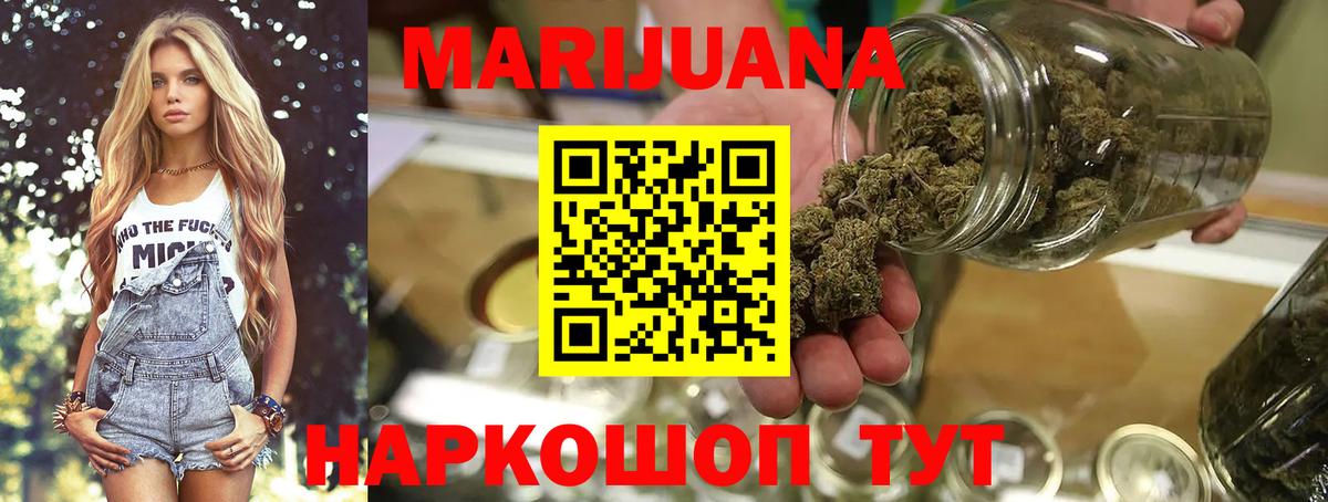 Бошки марихуана план  Вход с VPN  Бошки марихуана Bruce Banner  Боровичи  Канабис гибрид 